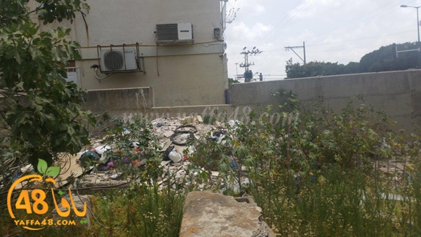 sheikh morad (6).jpg